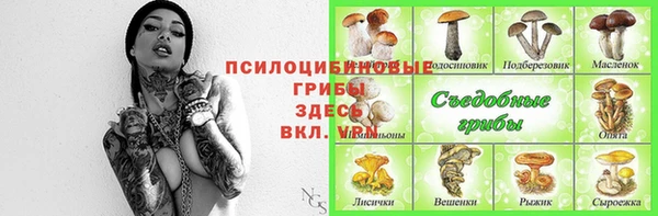 крисы Нягань