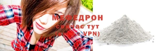 индика Нязепетровск