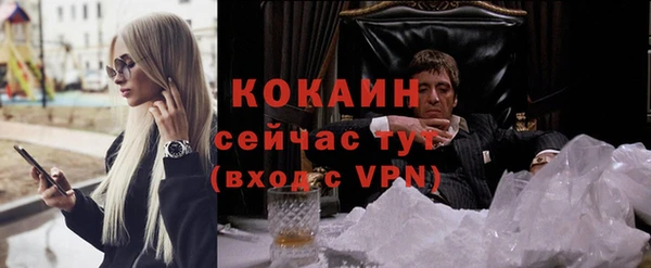индика Нязепетровск