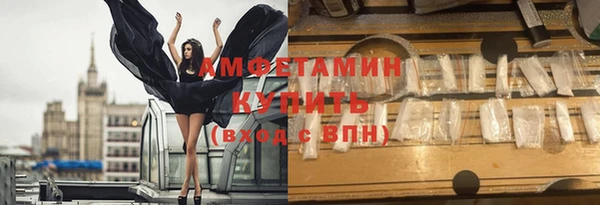 индика Нязепетровск