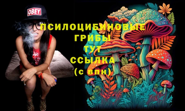 индика Нязепетровск