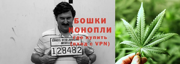 индика Нязепетровск