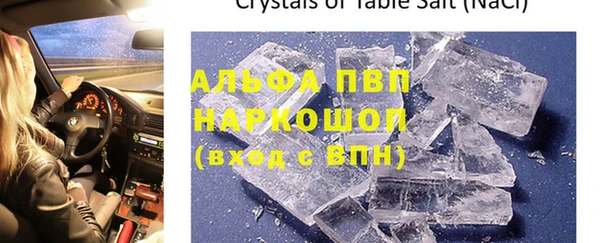 индика Нязепетровск