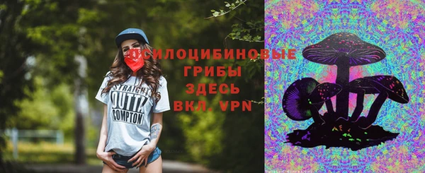 крисы Нягань