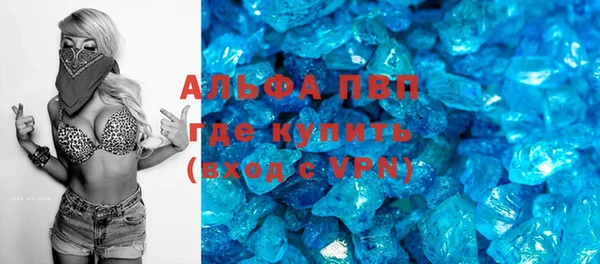 индика Нязепетровск