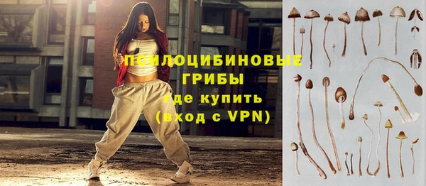 крисы Нягань
