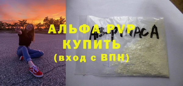 индика Нязепетровск