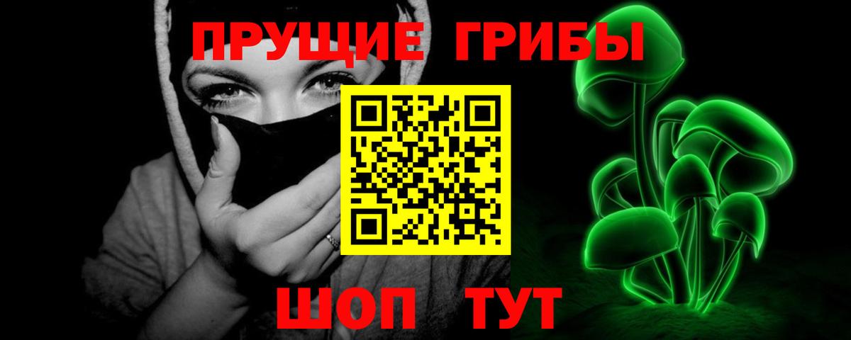 Галлюциногенные грибы Cubensis Старая Русса
